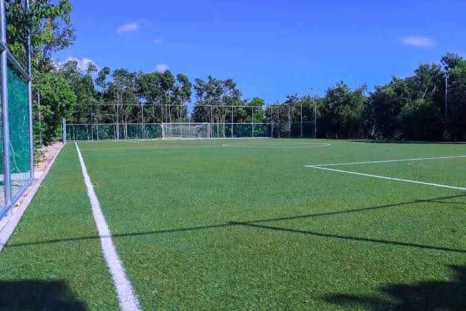 Canchas deportivas